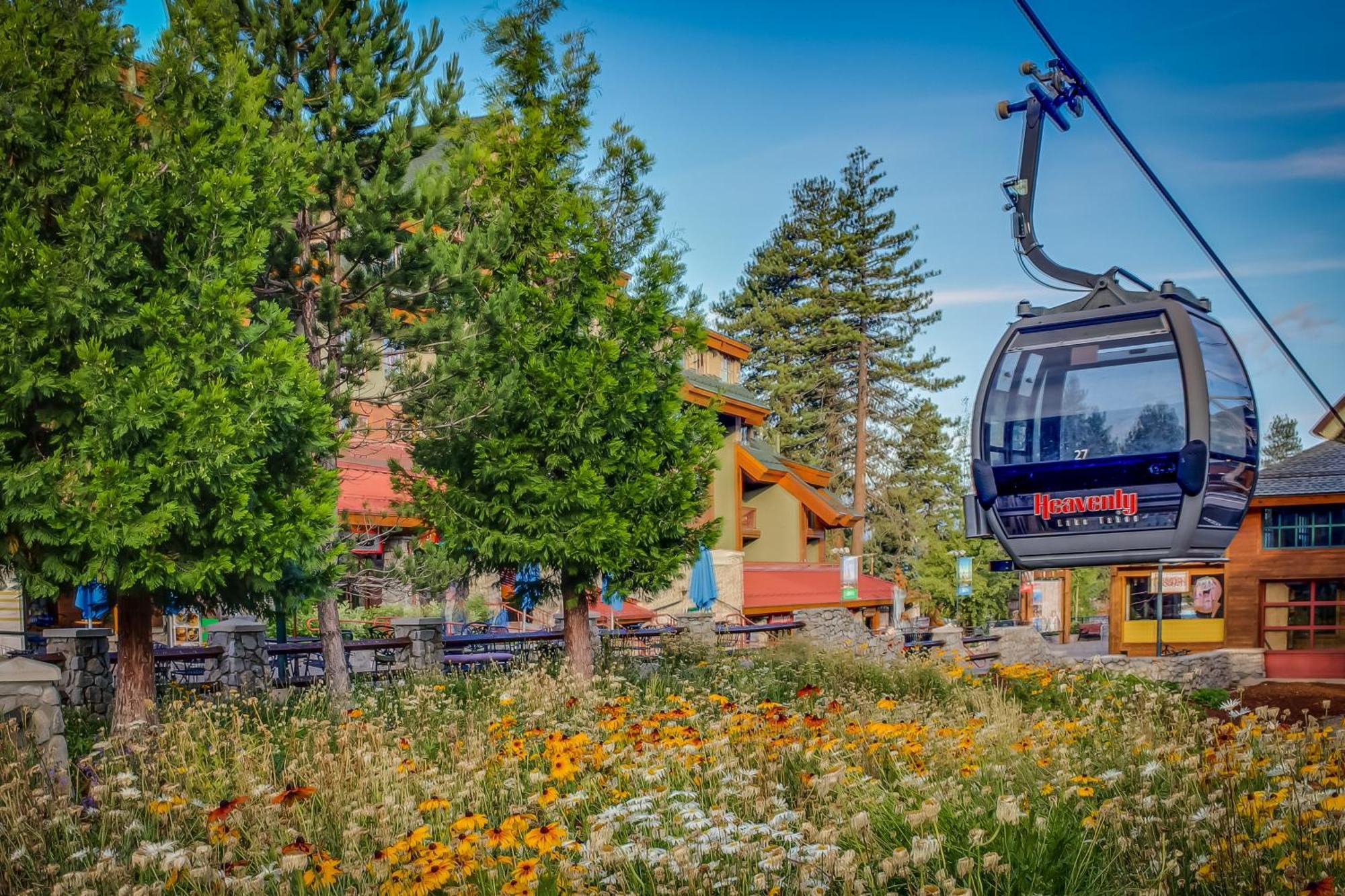 Lakeland Village South Lake Tahoe Bilik gambar