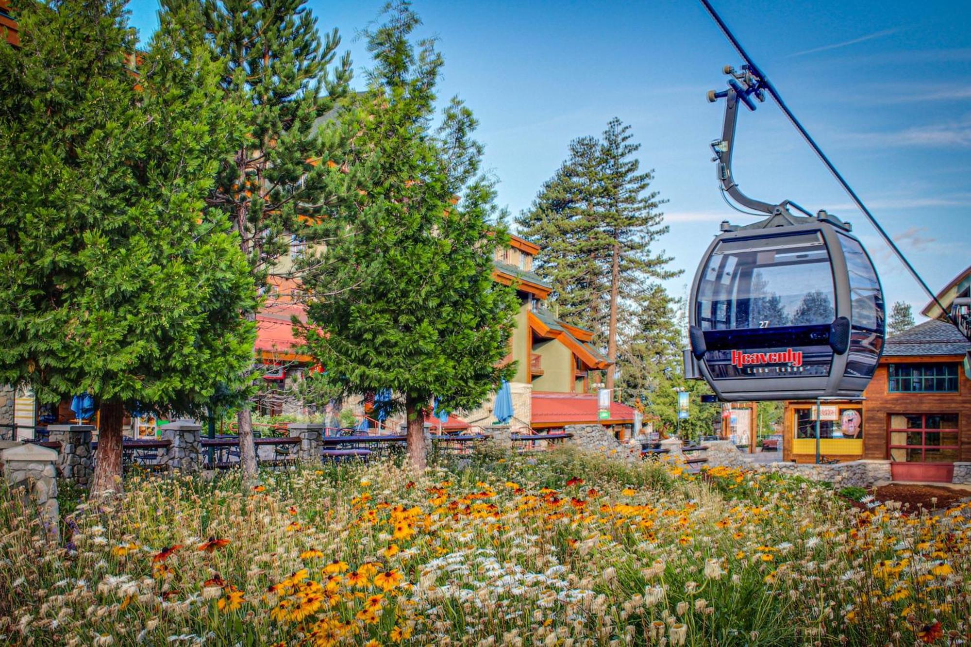 Lakeland Village South Lake Tahoe Bilik gambar